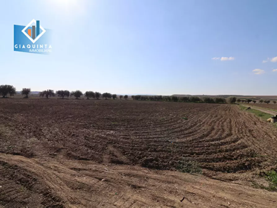 Immagine 8 di Terreno in vendita  in Contrada Polmone a Ramacca