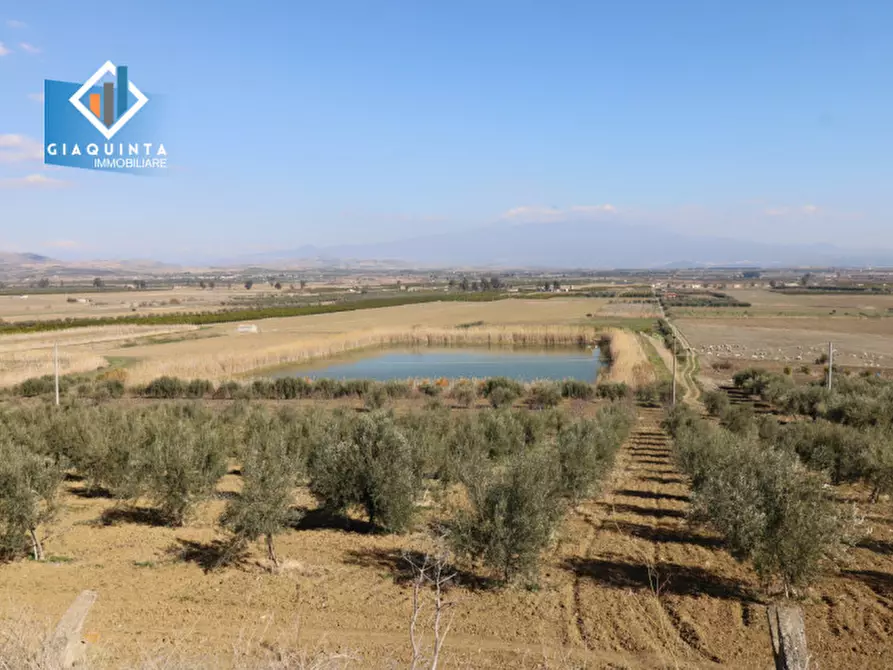 Immagine 9 di Terreno in vendita  in Contrada Polmone a Ramacca