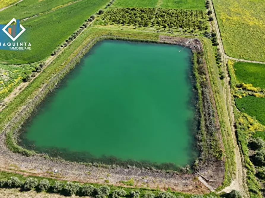 Immagine 10 di Terreno in vendita  in Contrada Polmone a Ramacca