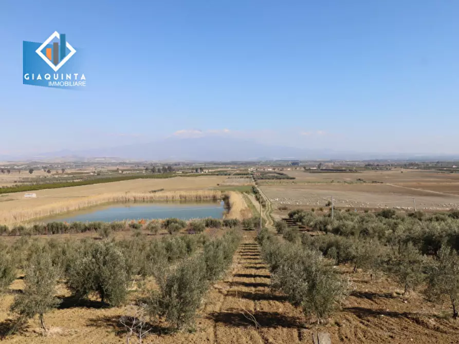 Immagine 11 di Terreno in vendita  in Contrada Polmone a Ramacca