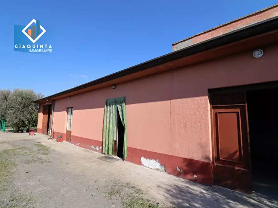 Immagine 12 di Terreno in vendita  in Contrada Polmone a Ramacca