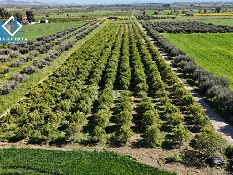 Immagine 14 di Terreno in vendita  in Contrada Polmone a Ramacca
