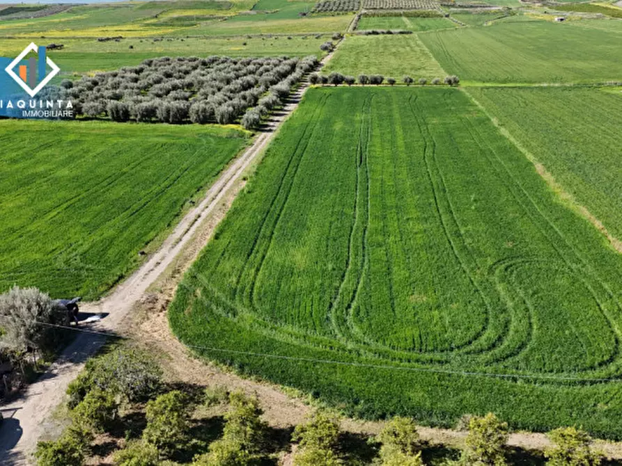 Immagine 16 di Terreno in vendita  in Contrada Polmone a Ramacca