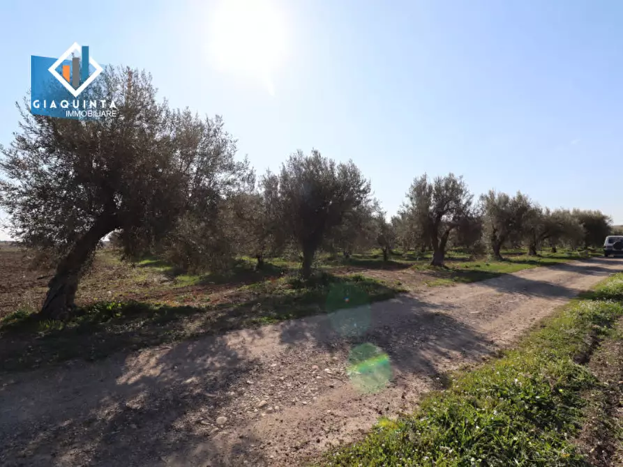 Immagine 17 di Terreno in vendita  in Contrada Polmone a Ramacca