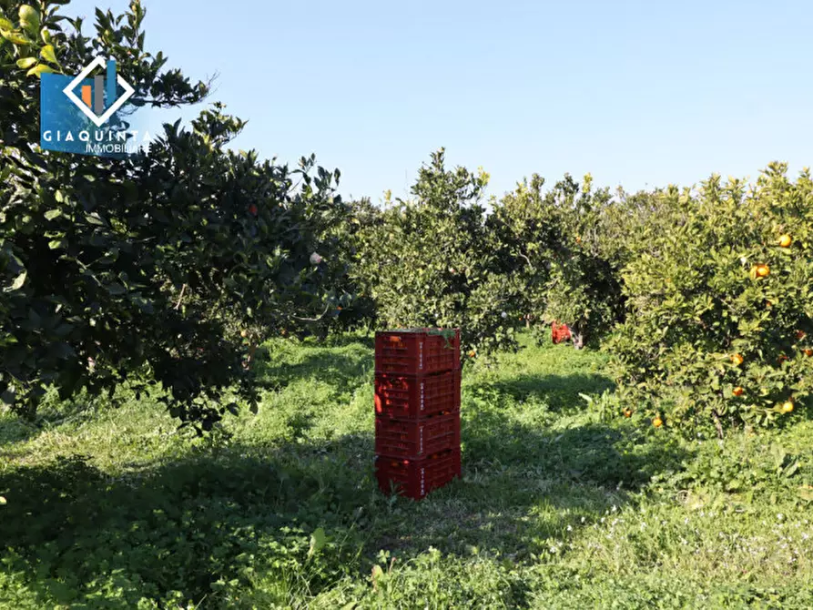Immagine 19 di Terreno in vendita  in Contrada Polmone a Ramacca