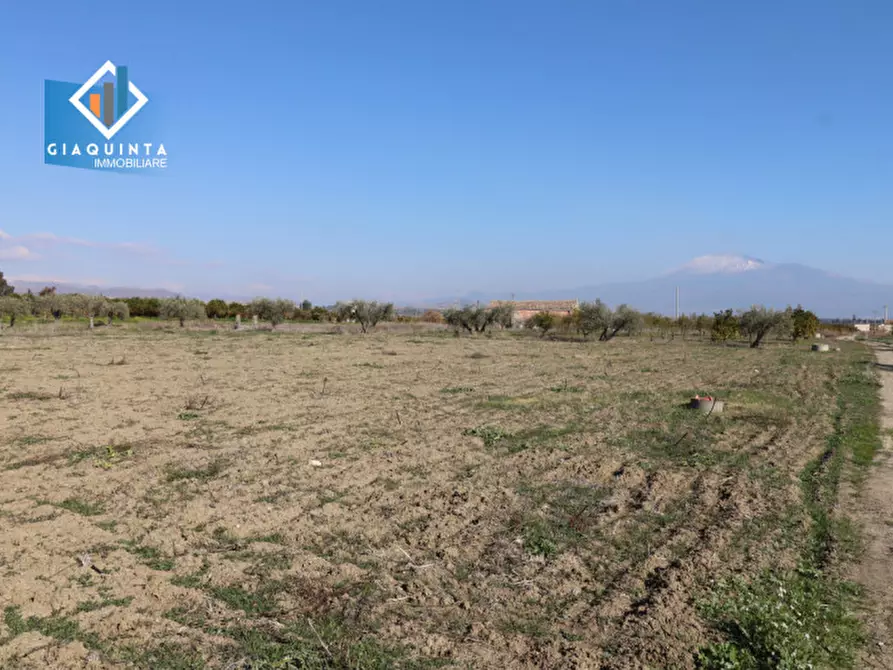Immagine 21 di Terreno in vendita  in Contrada Polmone a Ramacca