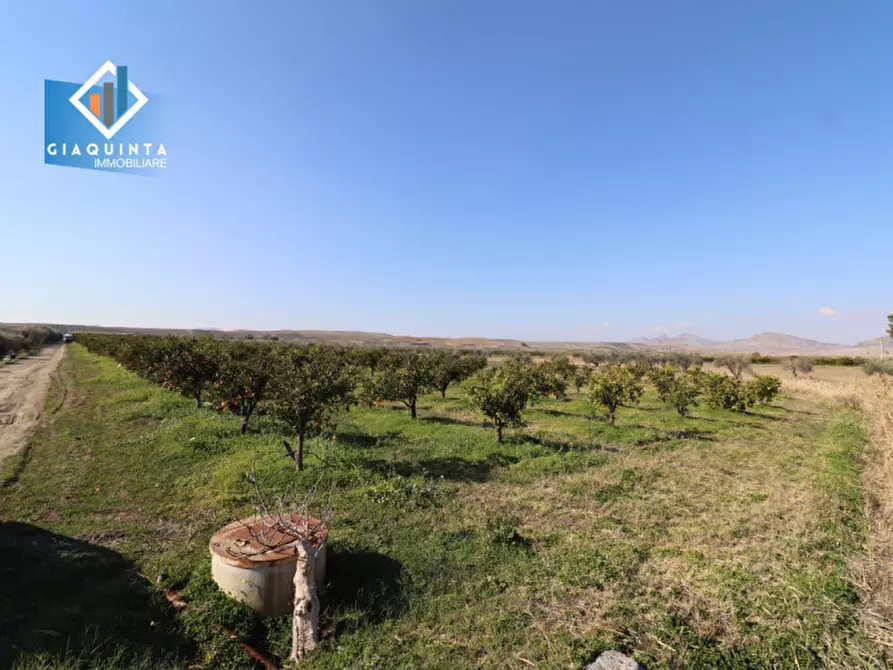 Immagine 22 di Terreno in vendita  in Contrada Polmone a Ramacca