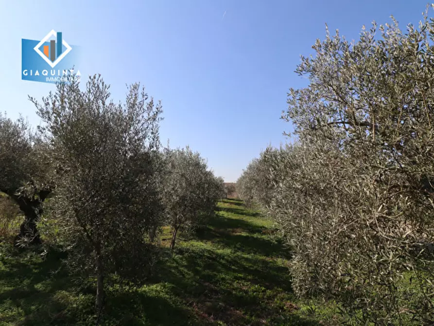 Immagine 25 di Terreno in vendita  in Contrada Polmone a Ramacca