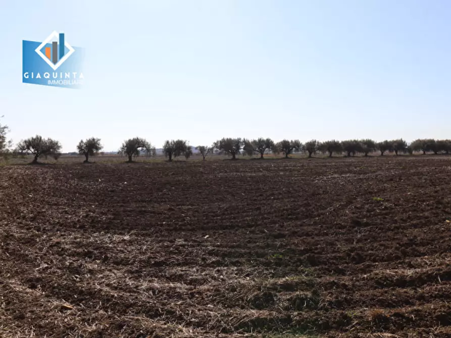 Immagine 26 di Terreno in vendita  in Contrada Polmone a Ramacca