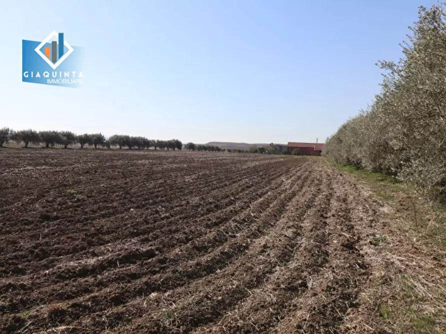 Immagine 27 di Terreno in vendita  in Contrada Polmone a Ramacca