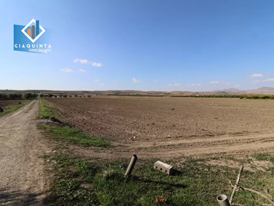 Immagine 30 di Terreno in vendita  in Contrada Polmone a Ramacca