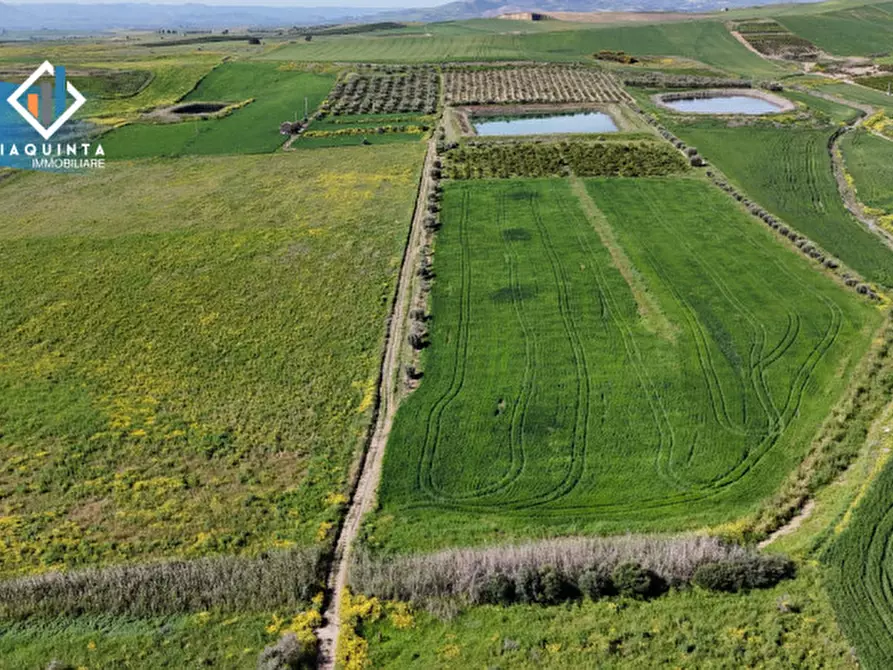 Immagine 31 di Terreno in vendita  in Contrada Polmone a Ramacca