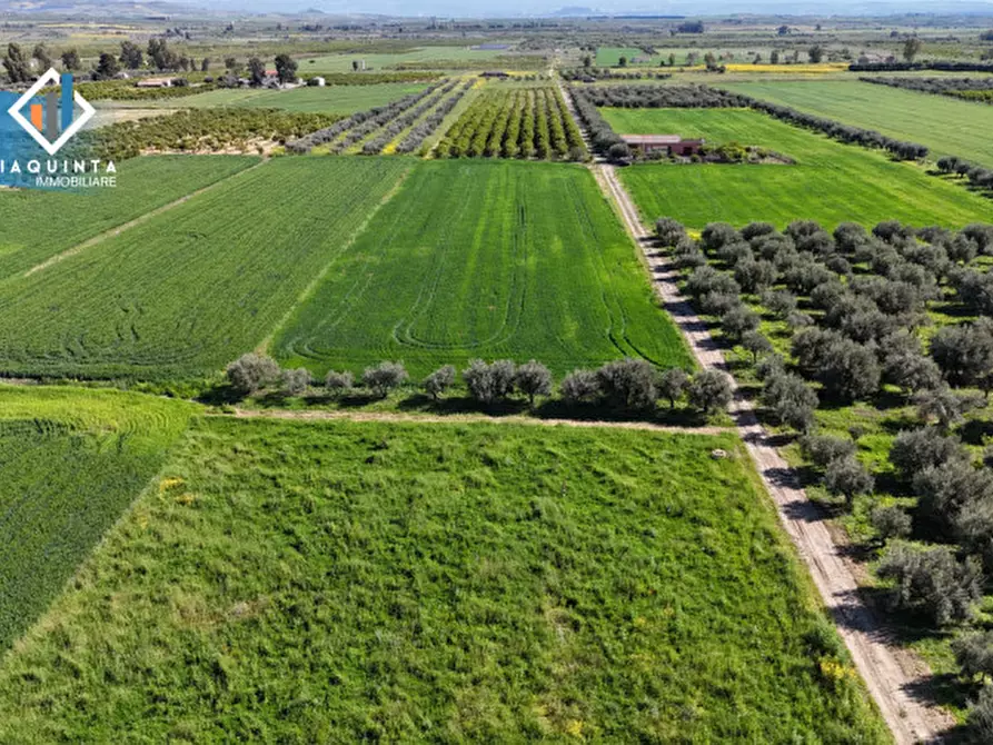 Immagine 32 di Terreno in vendita  in Contrada Polmone a Ramacca
