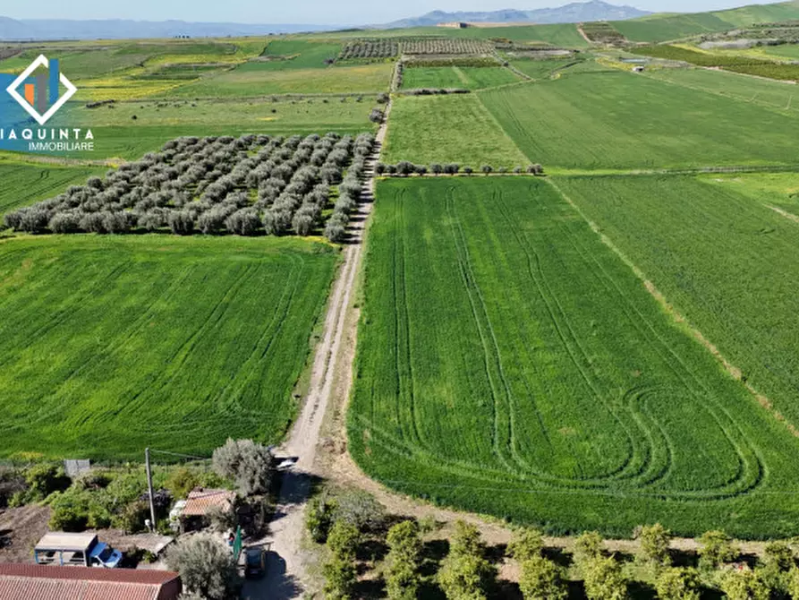Immagine 33 di Terreno in vendita  in Contrada Polmone a Ramacca