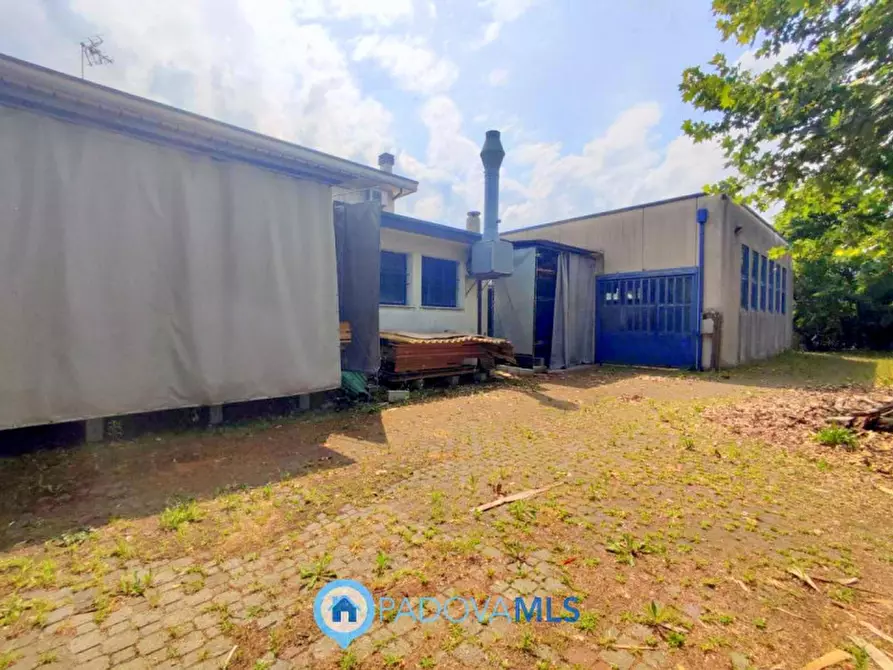 Immagine 3 di Casa indipendente in vendita  in Via San Giorgio a Albignasego