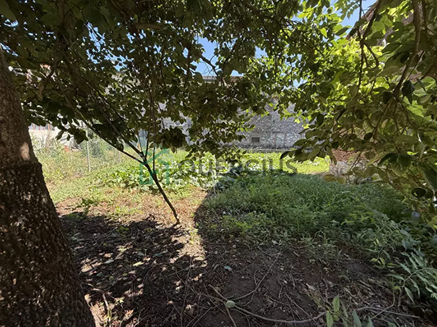 Immagine 24 di Casa indipendente in vendita  in Piazza Bonaldo a Zimella