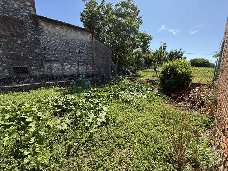 Immagine 30 di Casa indipendente in vendita  in Piazza Bonaldo a Zimella