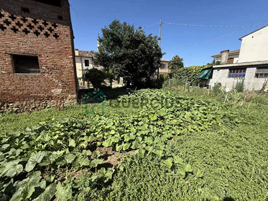 Immagine 31 di Casa indipendente in vendita  in Piazza Bonaldo a Zimella