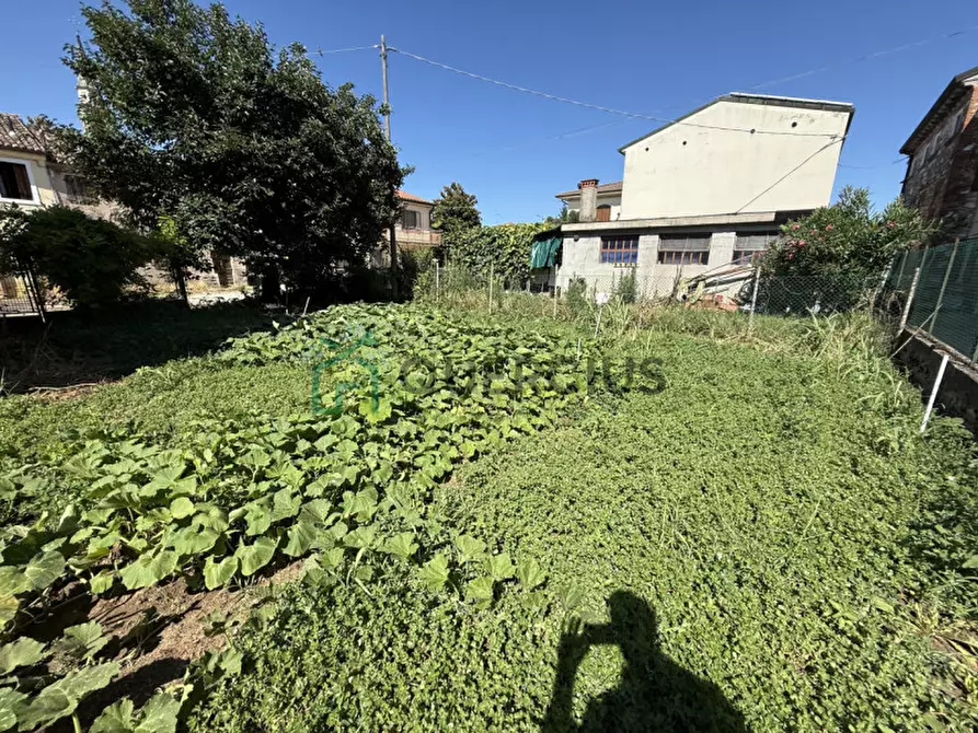 Immagine 32 di Casa indipendente in vendita  in Piazza Bonaldo a Zimella