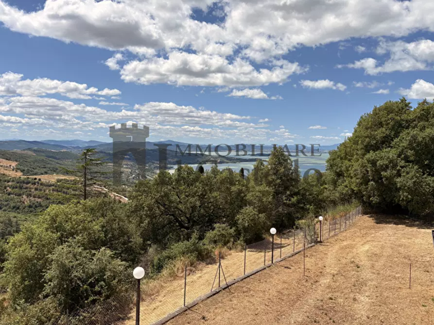 Immagine 2 di Villa in vendita  in trecine a Passignano Sul Trasimeno