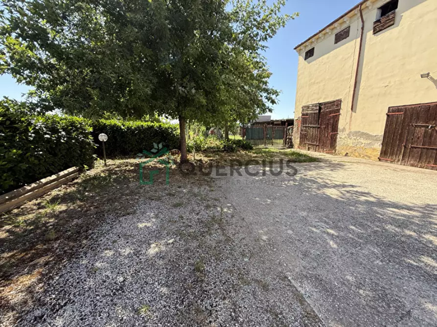 Immagine 8 di Casa indipendente in vendita  in Piazza Bonaldo a Zimella