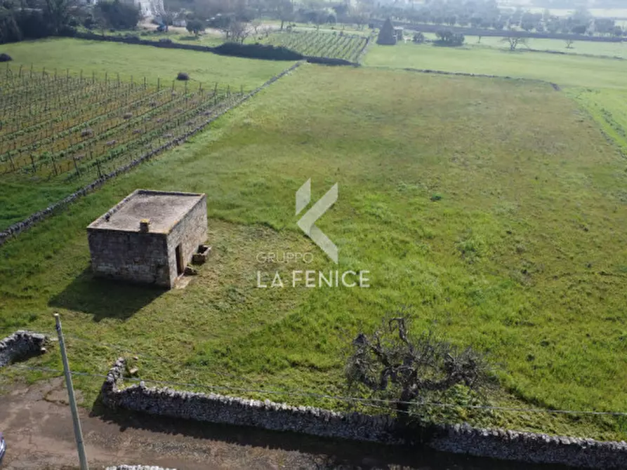 Immagine 2 di Rustico / casale in vendita  in contrada soluco a Martina Franca