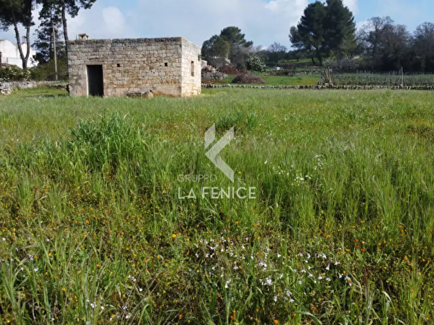 Immagine 3 di Rustico / casale in vendita  in contrada soluco a Martina Franca
