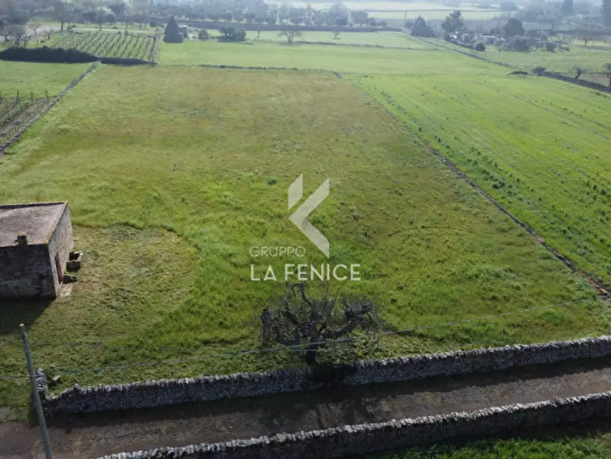 Immagine 5 di Rustico / casale in vendita  in contrada soluco a Martina Franca