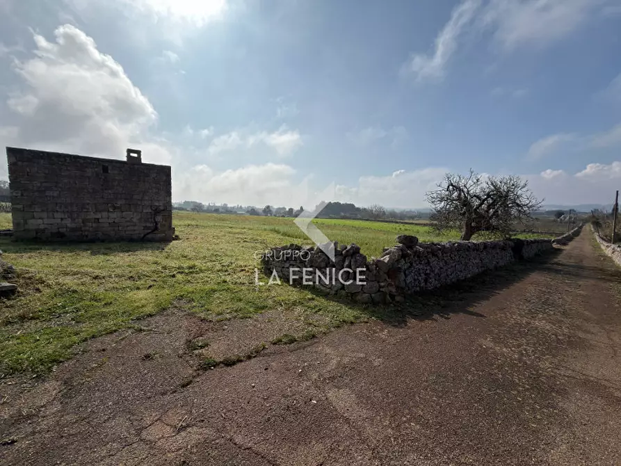 Immagine 7 di Rustico / casale in vendita  in contrada soluco a Martina Franca