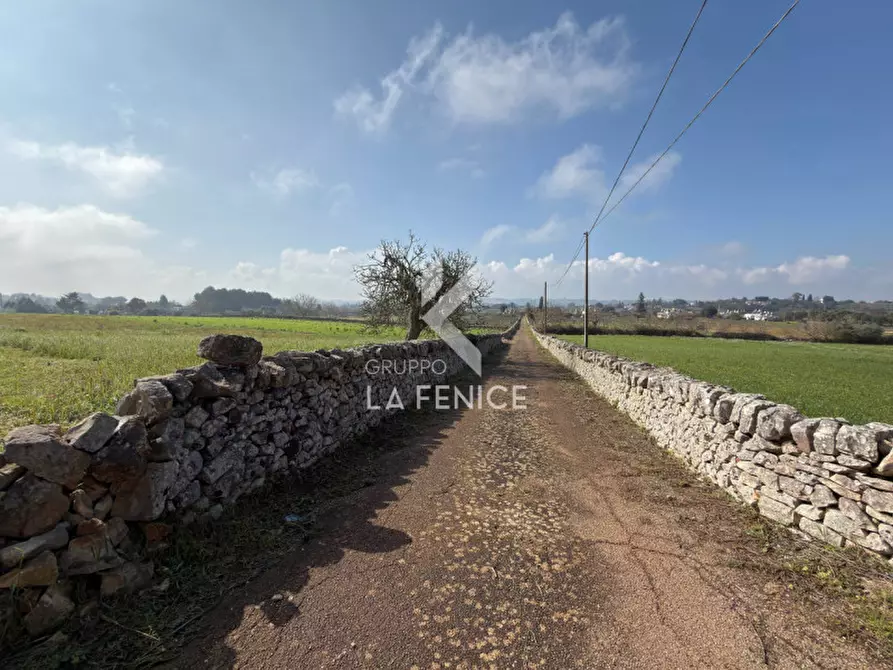 Immagine 8 di Rustico / casale in vendita  in contrada soluco a Martina Franca