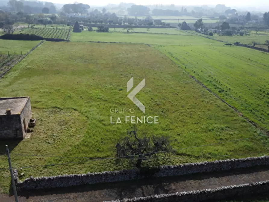 Immagine 9 di Rustico / casale in vendita  in contrada soluco a Martina Franca