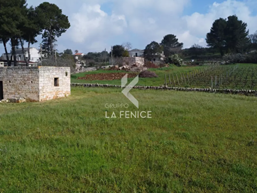 Immagine 11 di Rustico / casale in vendita  in contrada soluco a Martina Franca