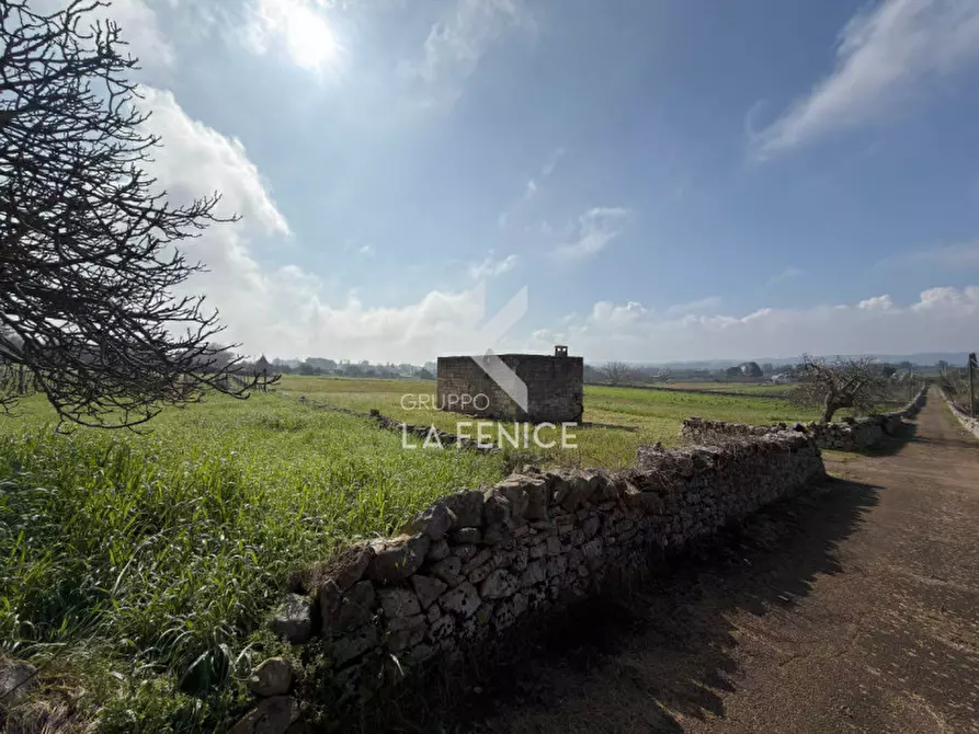 Immagine 25 di Rustico / casale in vendita  in contrada soluco a Martina Franca