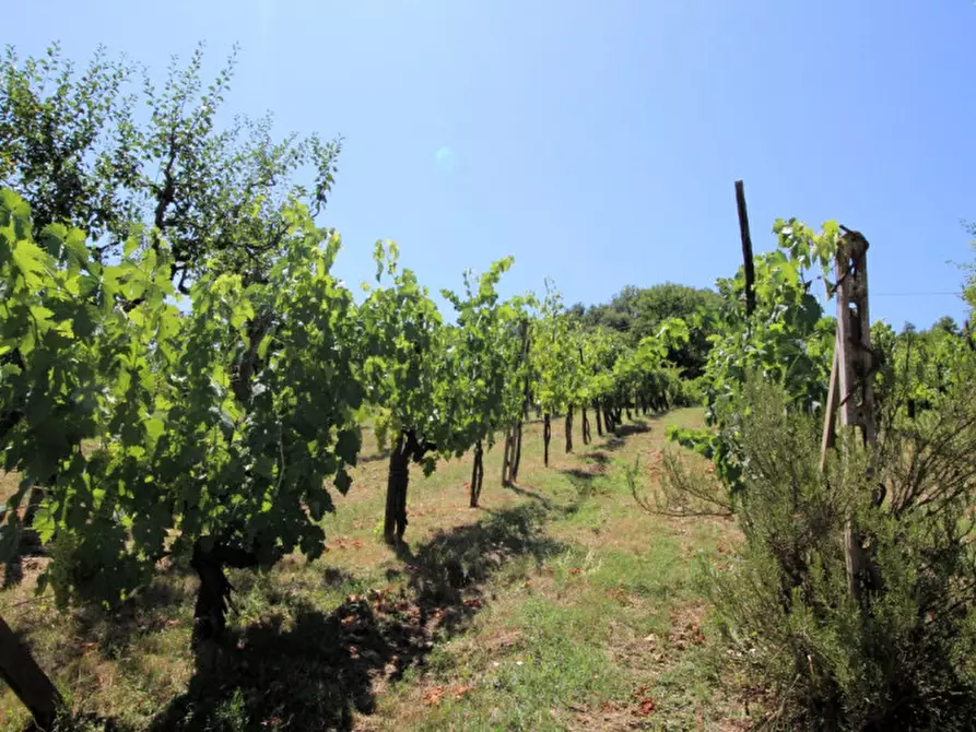 Immagine 7 di Casa indipendente in vendita  in Via Montecarlo a San Giovanni Valdarno