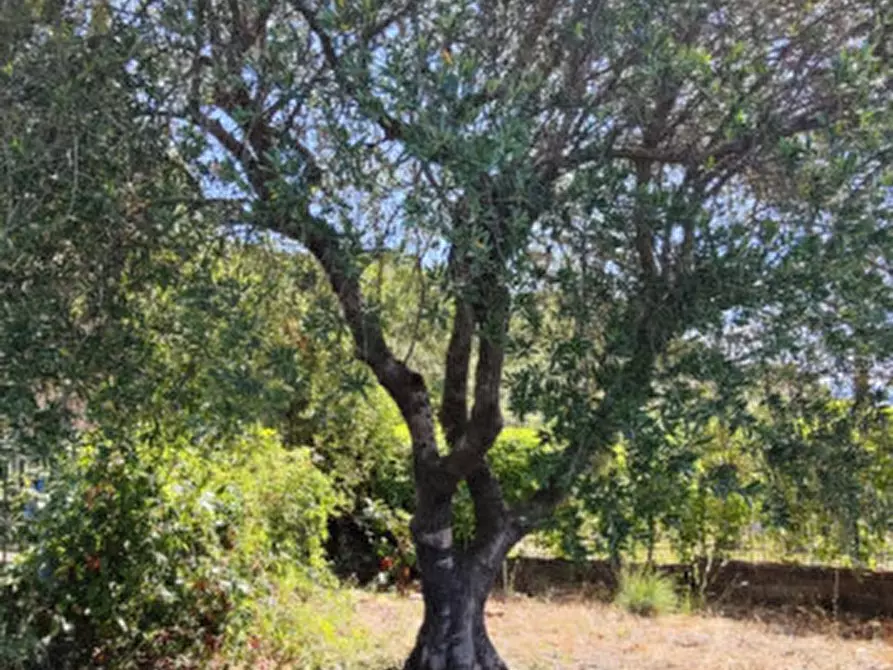 Immagine 17 di Villa in vendita  a Eboli