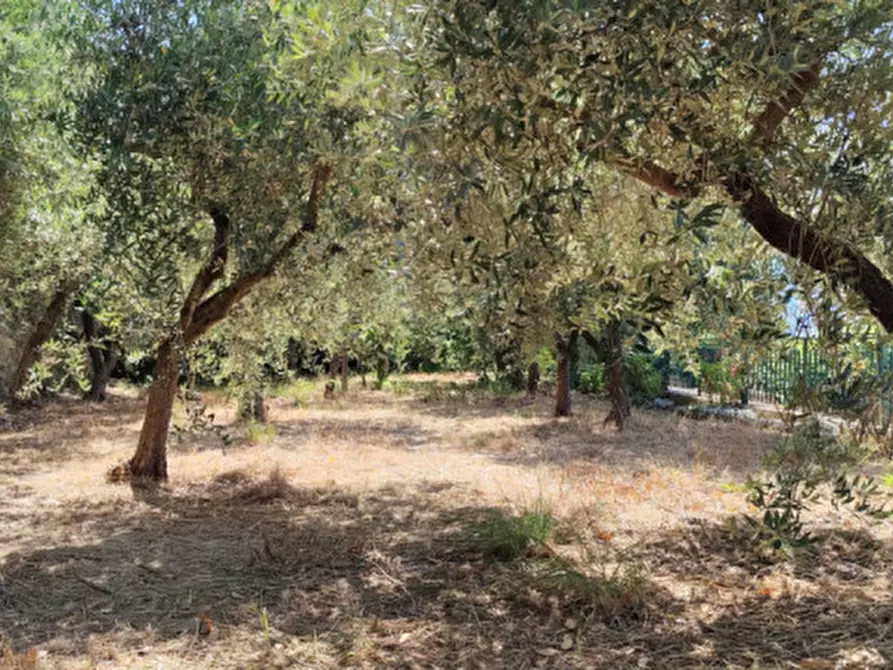 Immagine 20 di Villa in vendita  a Eboli