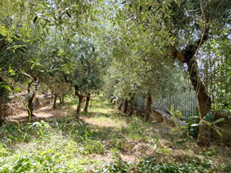 Immagine 25 di Villa in vendita  a Eboli