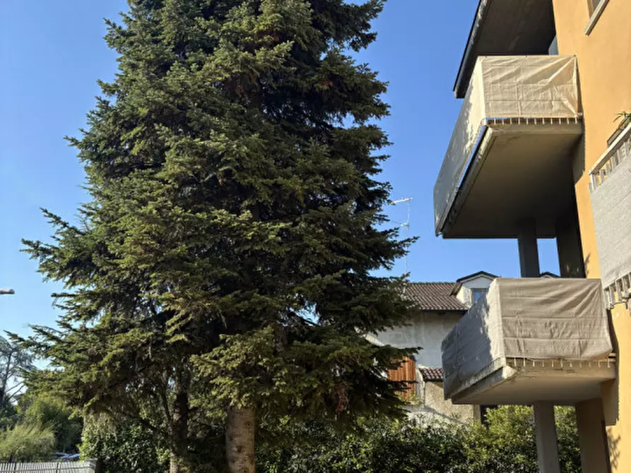 Immagine 3 di Appartamento in vendita  in Via Don Milani, 11 a Torrile