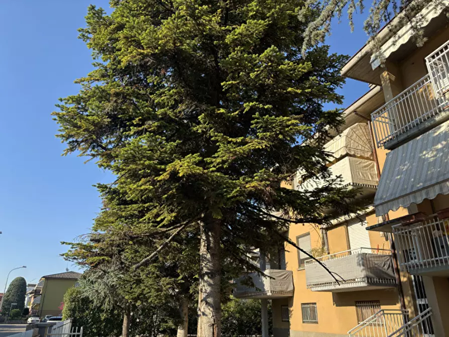 Immagine 44 di Appartamento in vendita  in Via Don Milani, 11 a Torrile