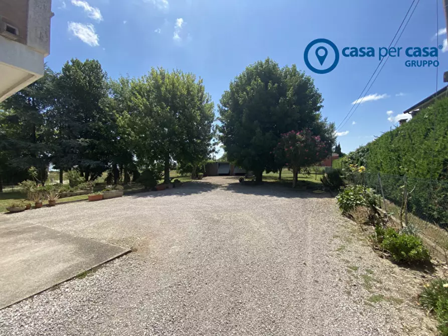 Immagine 12 di Casa indipendente in vendita  in Porto Viro, Località Veniera a Porto Viro