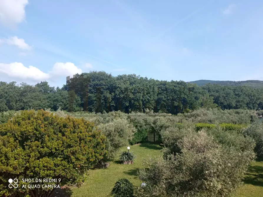Immagine 18 di Villa in vendita  in Località Vernazzano Basso a Tuoro Sul Trasimeno