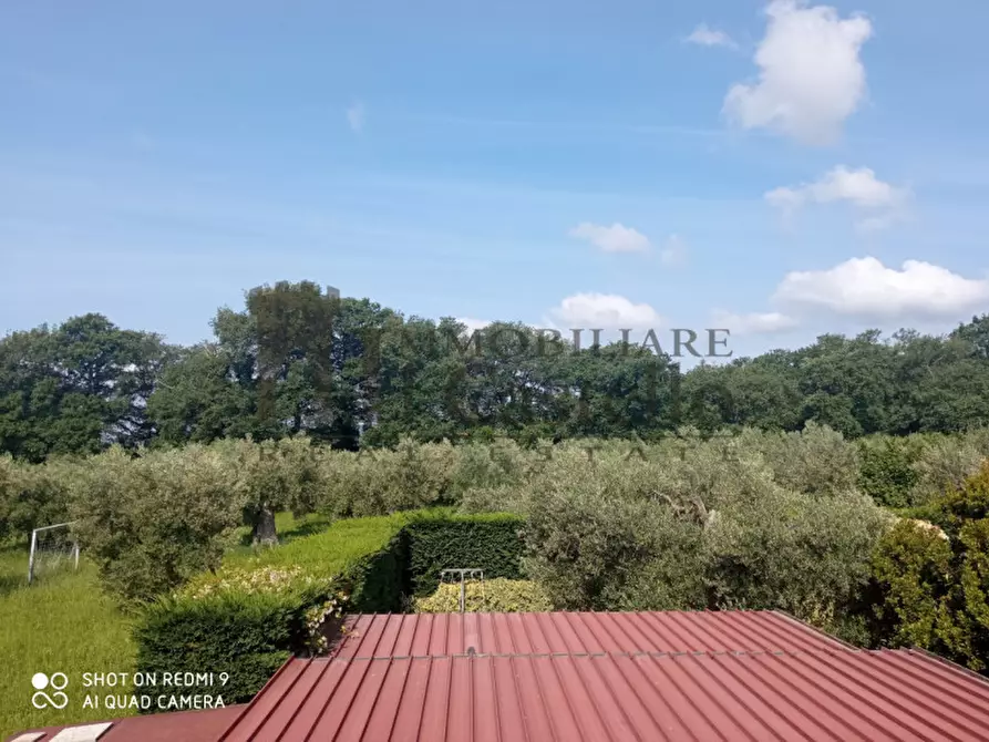 Immagine 19 di Villa in vendita  in Località Vernazzano Basso a Tuoro Sul Trasimeno
