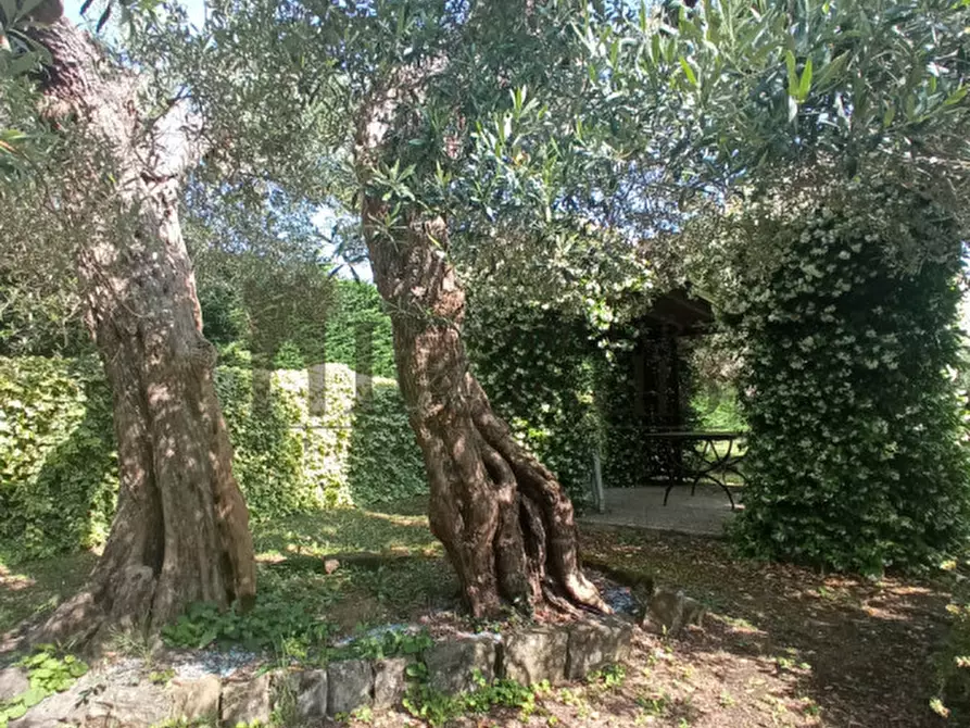Immagine 29 di Villa in vendita  in Località Vernazzano Basso a Tuoro Sul Trasimeno