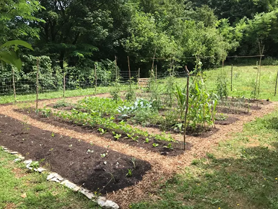 Immagine 2 di Terreno in vendita  in Via Fontega a Arcugnano
