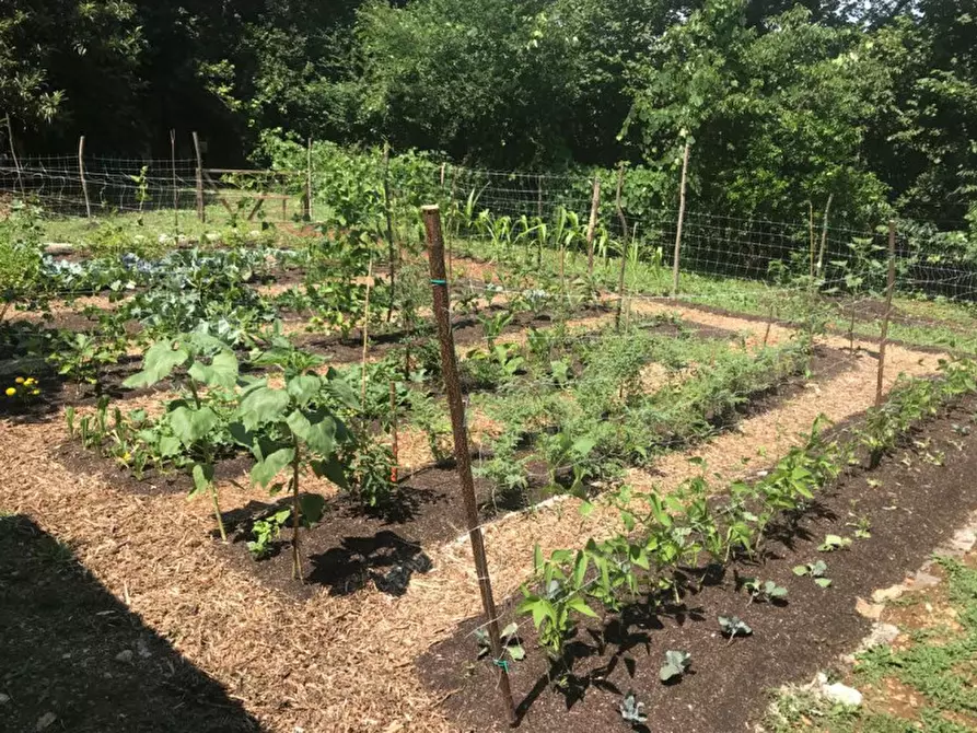 Immagine 2 di Terreno in vendita  in Via Fontega a Arcugnano