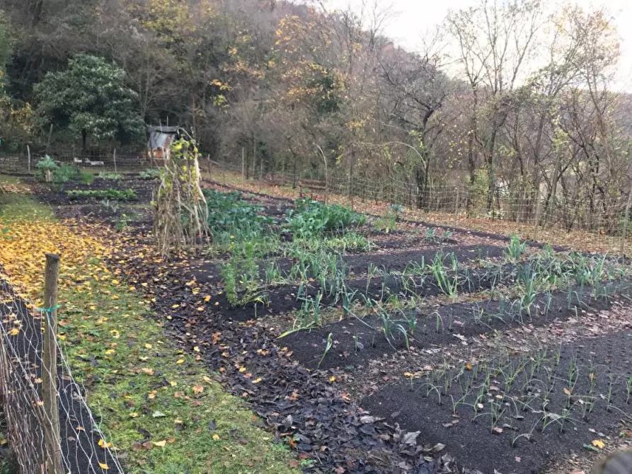 Immagine 6 di Terreno in vendita  in Via Fontega a Arcugnano