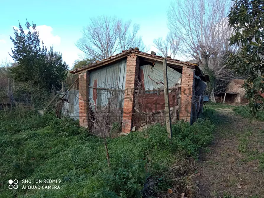 Immagine 4 di Rustico / casale in vendita  in Località Murcia Sanguineto a Tuoro Sul Trasimeno