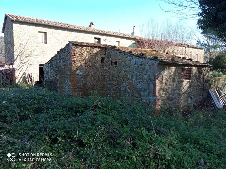 Immagine 8 di Rustico / casale in vendita  in Località Murcia Sanguineto a Tuoro Sul Trasimeno