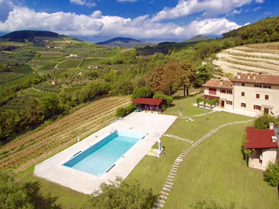 Immagine 2 di Terreno in vendita  a Tregnago