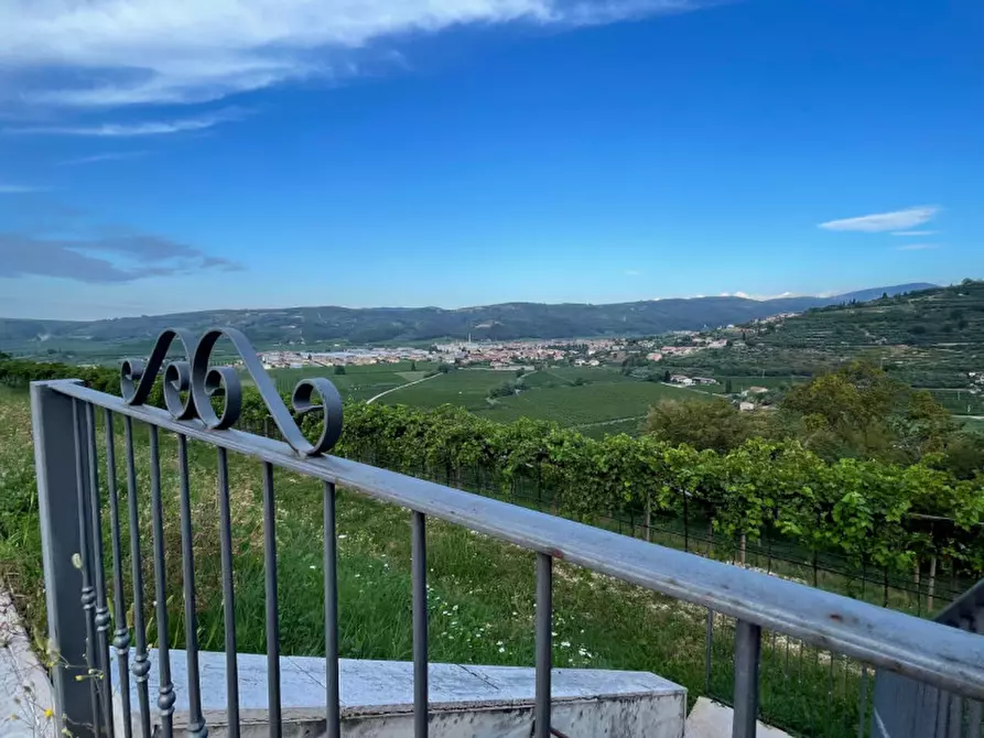 Immagine 5 di Terreno in vendita  a Tregnago